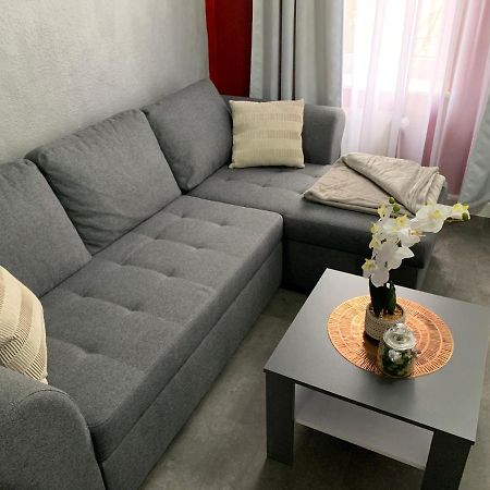 Exklusive Stadtwohnung Am Elbradweg: Best-Preis-Fewo Rathausblick 1 Fuer Max. 3 Pers. Inkl. Wlan, Prime Video & Self Check-In Віттенберґе Екстер'єр фото